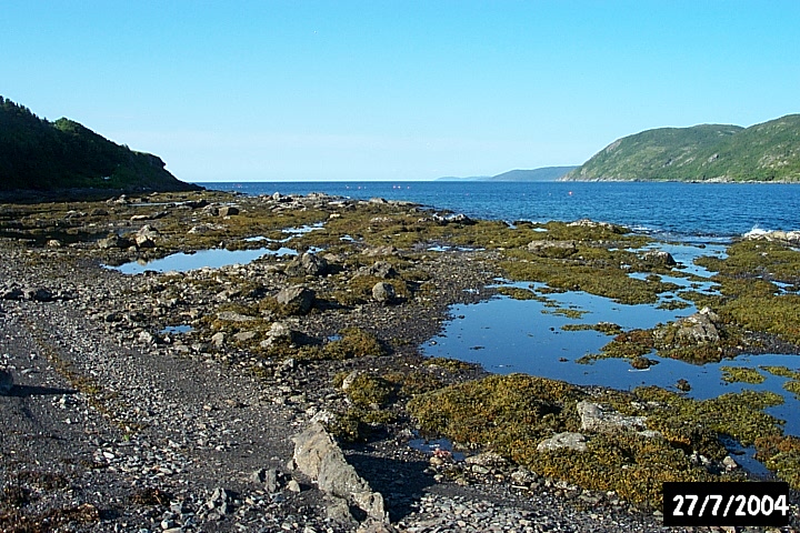 The rocky shallows at The Bottom of Martinique Bay.